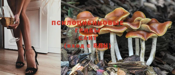 mdma Карпинск